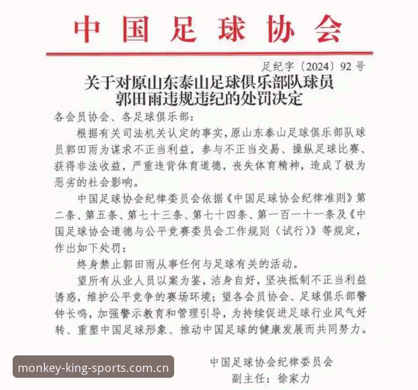悟空体育娱乐使用指南 中国足协第三批禁足名单出炉:3大问题深度解析,17人终身禁赛